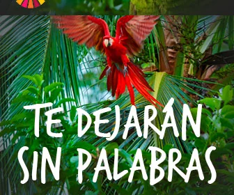Parc Samà: anuncio de display de la campaña de aves
