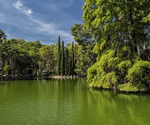 Parc Samà: anuncio de display de la Expedición Científica