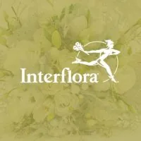 Logotipo de Interflora Fleurop